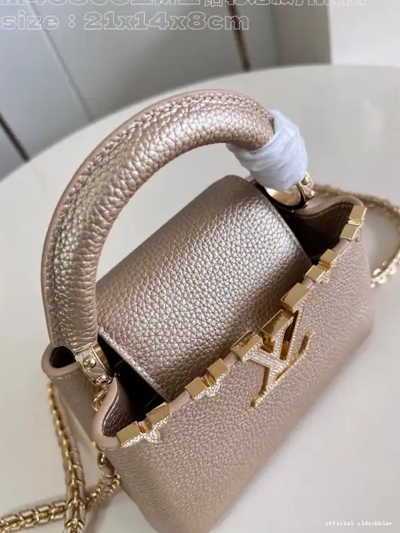 Official oldcobbler CAPUCINES LOUIS VUITTON MINI-21*14*8CM 0702